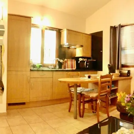 Les Mimosas Villa Biot Buitenkant foto